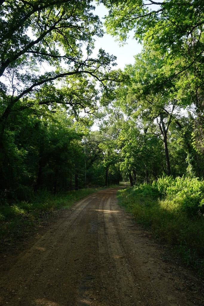 1 Acr 494 Athens, TX 75751 - Photo 10 of 25
