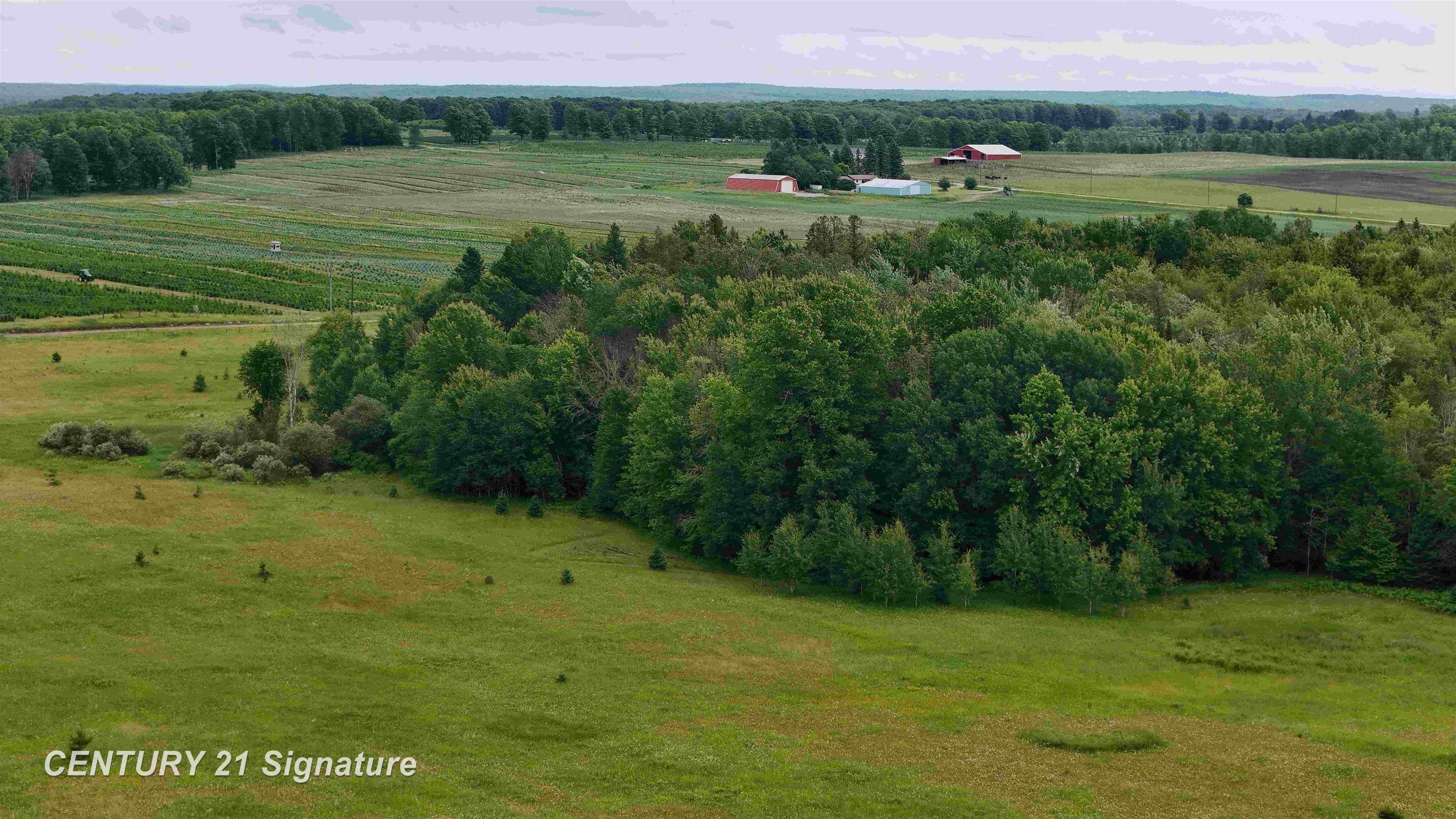 477 County Road 477 Road McMillan, MI 49853 - Photo 1 of 23
