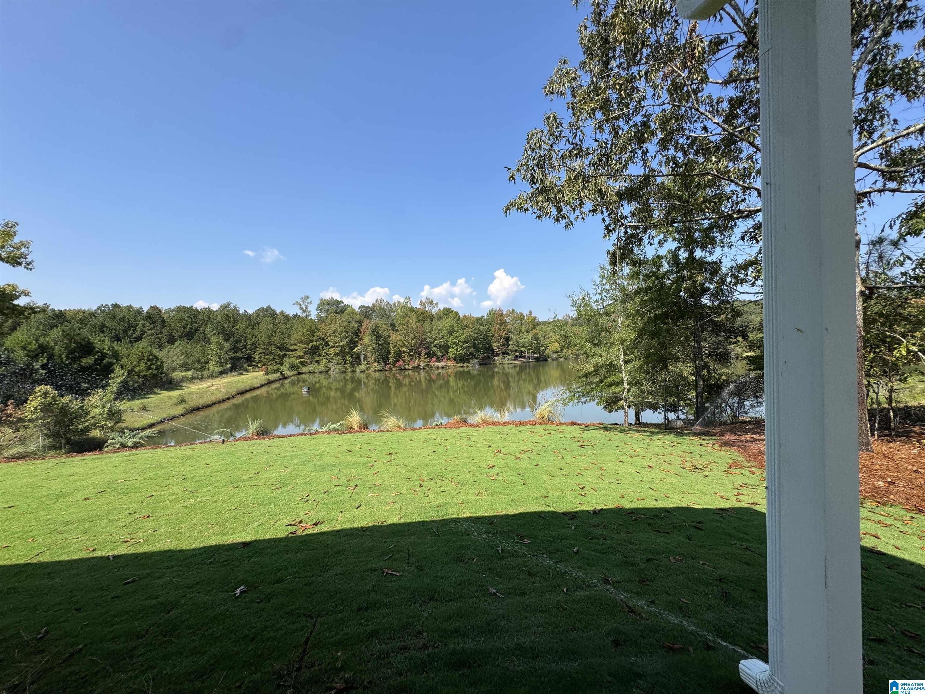 636 Emerald Trace Chelsea, AL 35043 - Photo 22 of 23