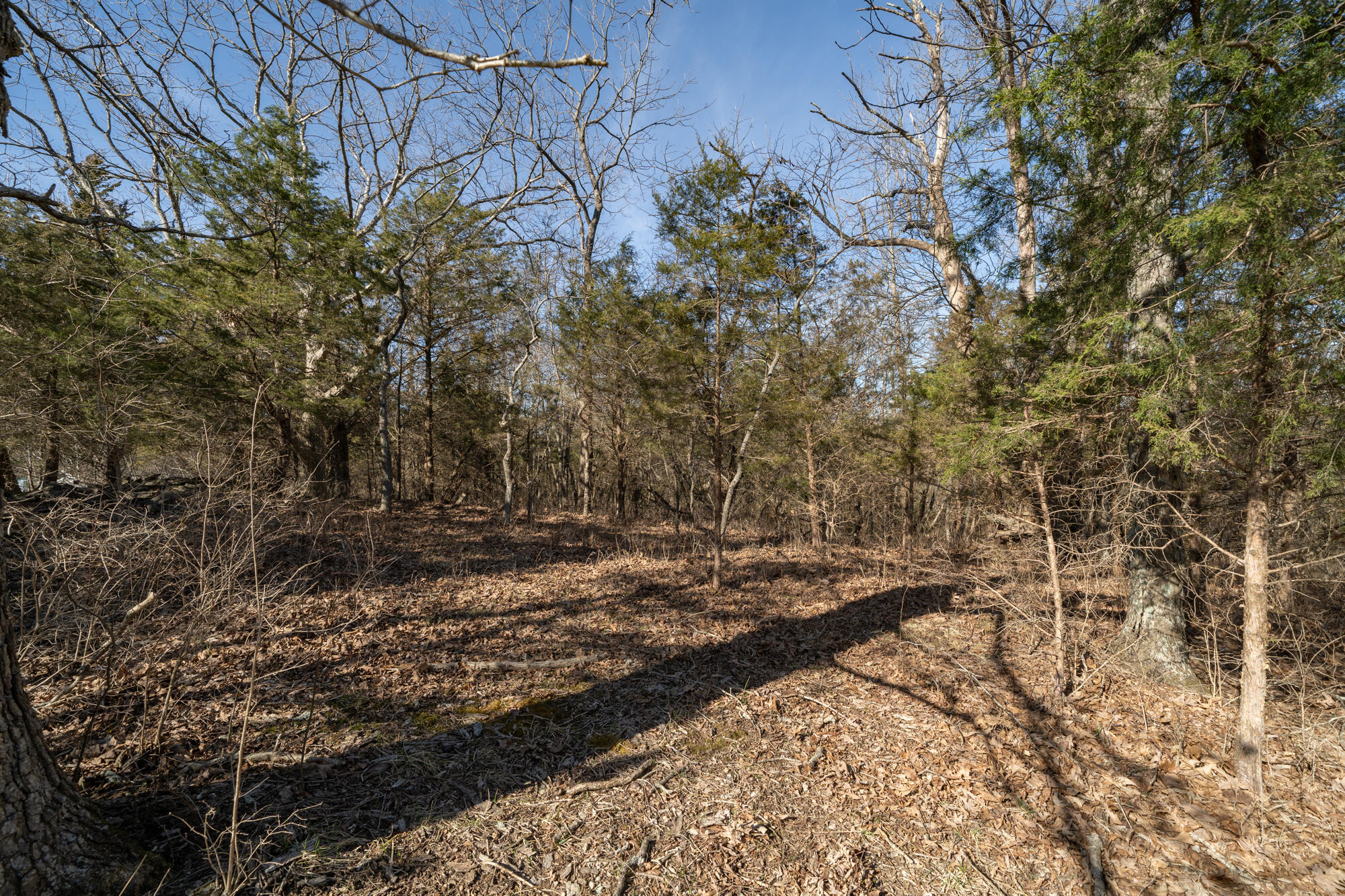 17.67-ac Fork Lick Road Corinth, KY 41010 - Photo 6 of 18 Gallery Image 6