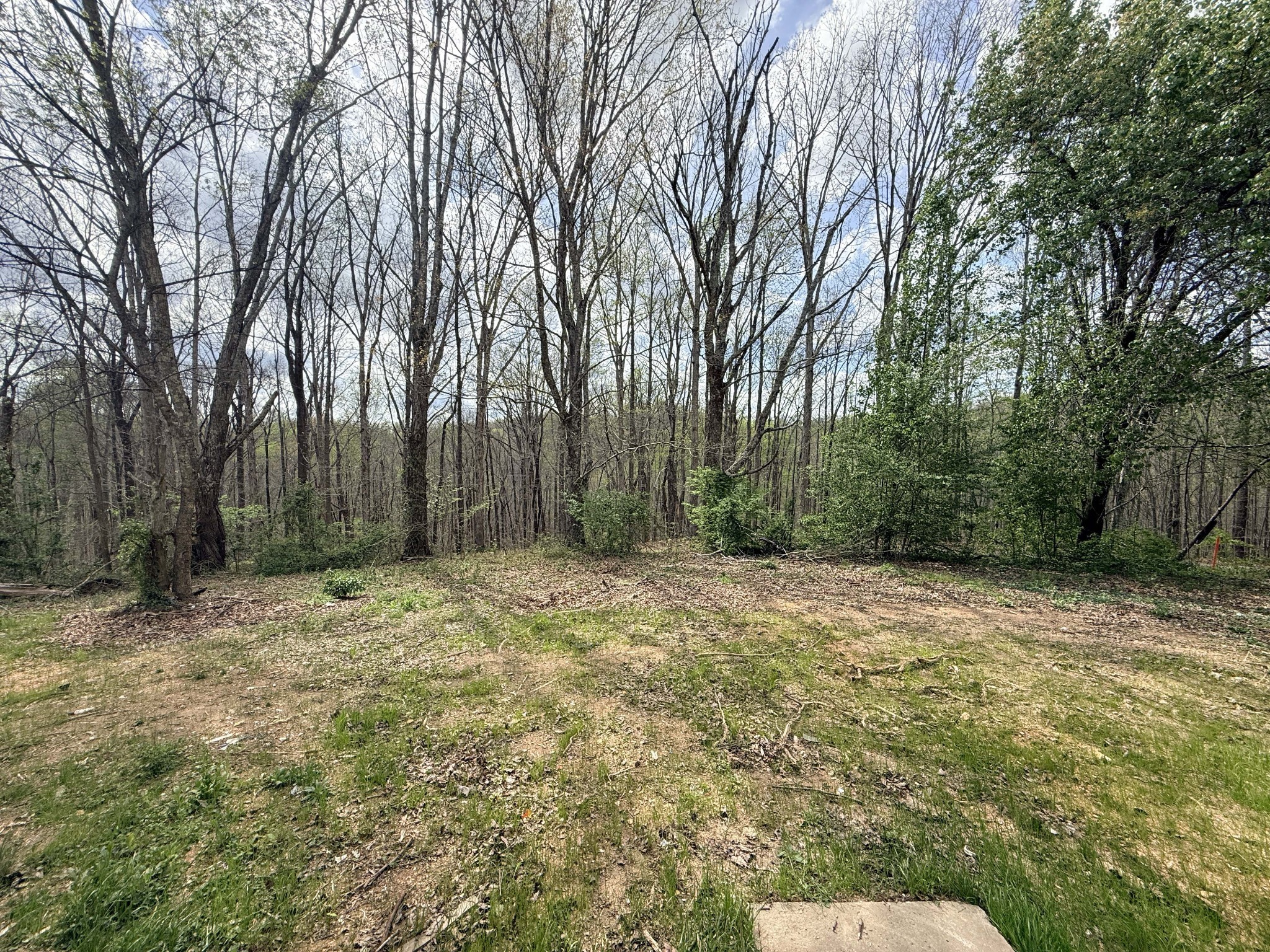 935 Sugar Tree Knob Road Liberty, TN 37095 - Photo 20 of 23