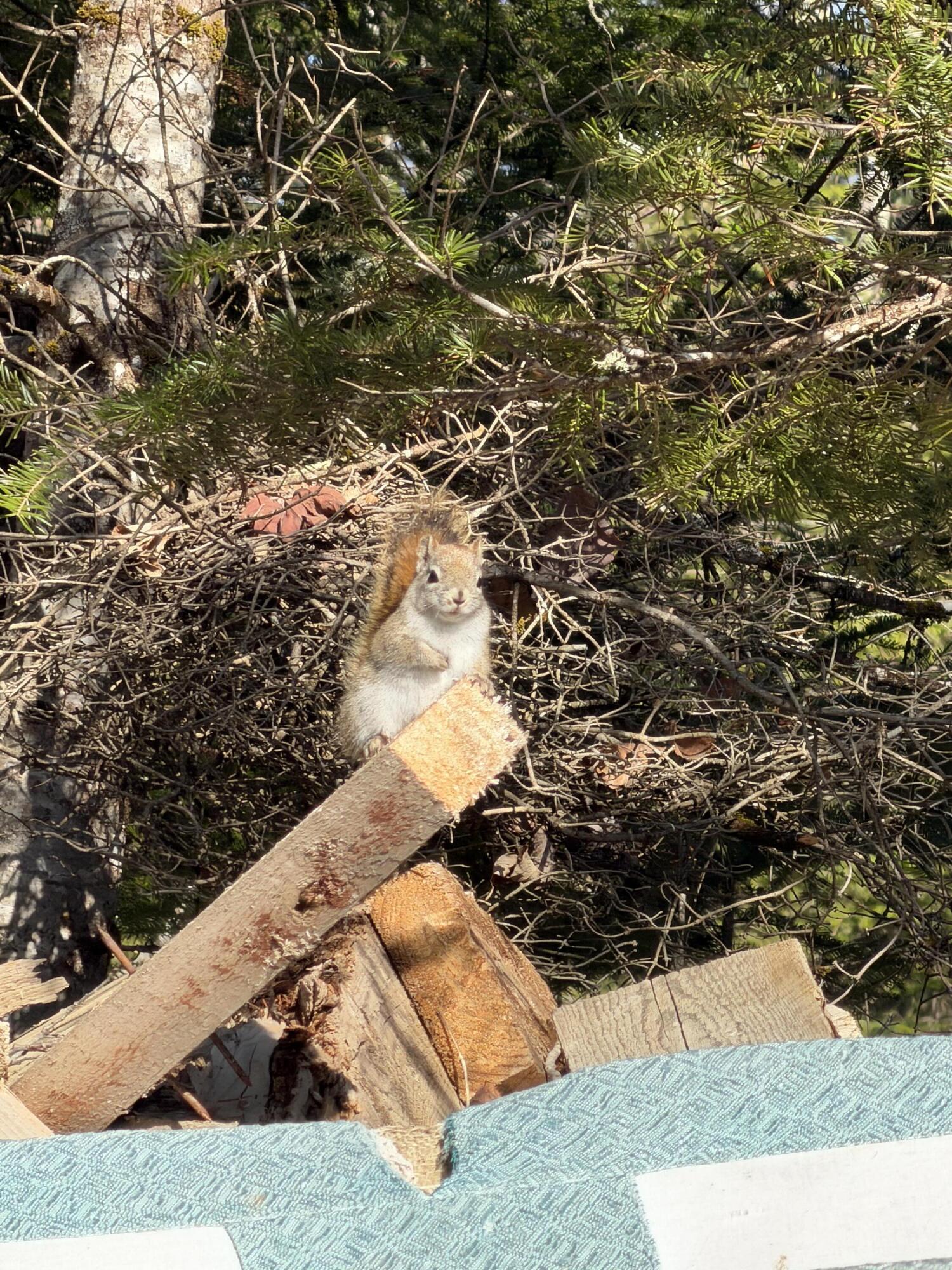 358 Puddledock Road Charleston, ME 04422 - Photo 2 of 17 Welcome!