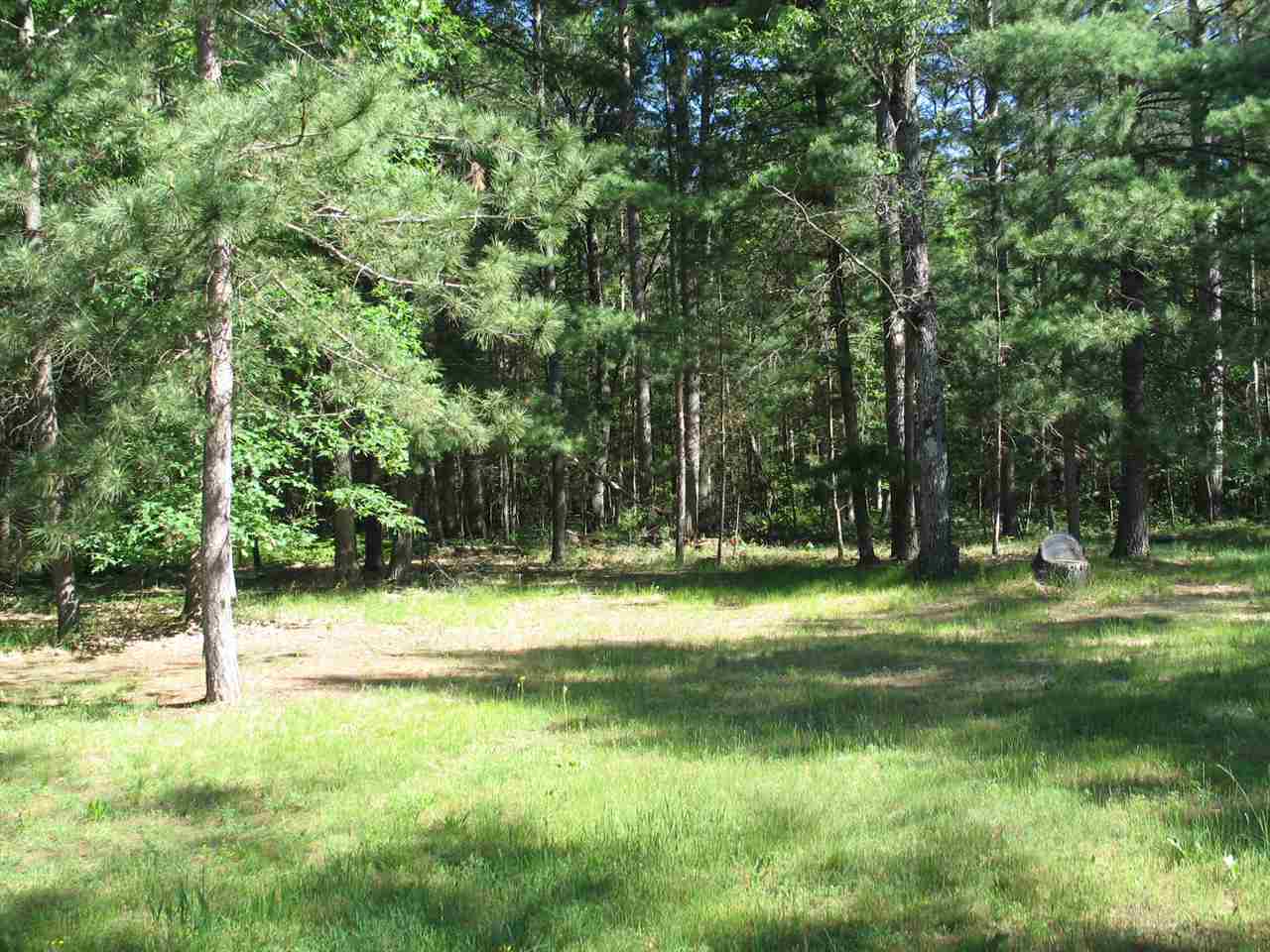 5420 Curtis Road Hale, MI 48739 - Photo 32 of 33 1875997-34.JPG