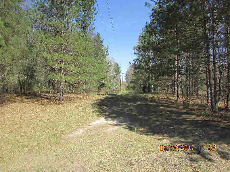 Nhn Gallagher Road West Branch, MI 48661 - Photo 5 of 8 Gallery Image 5