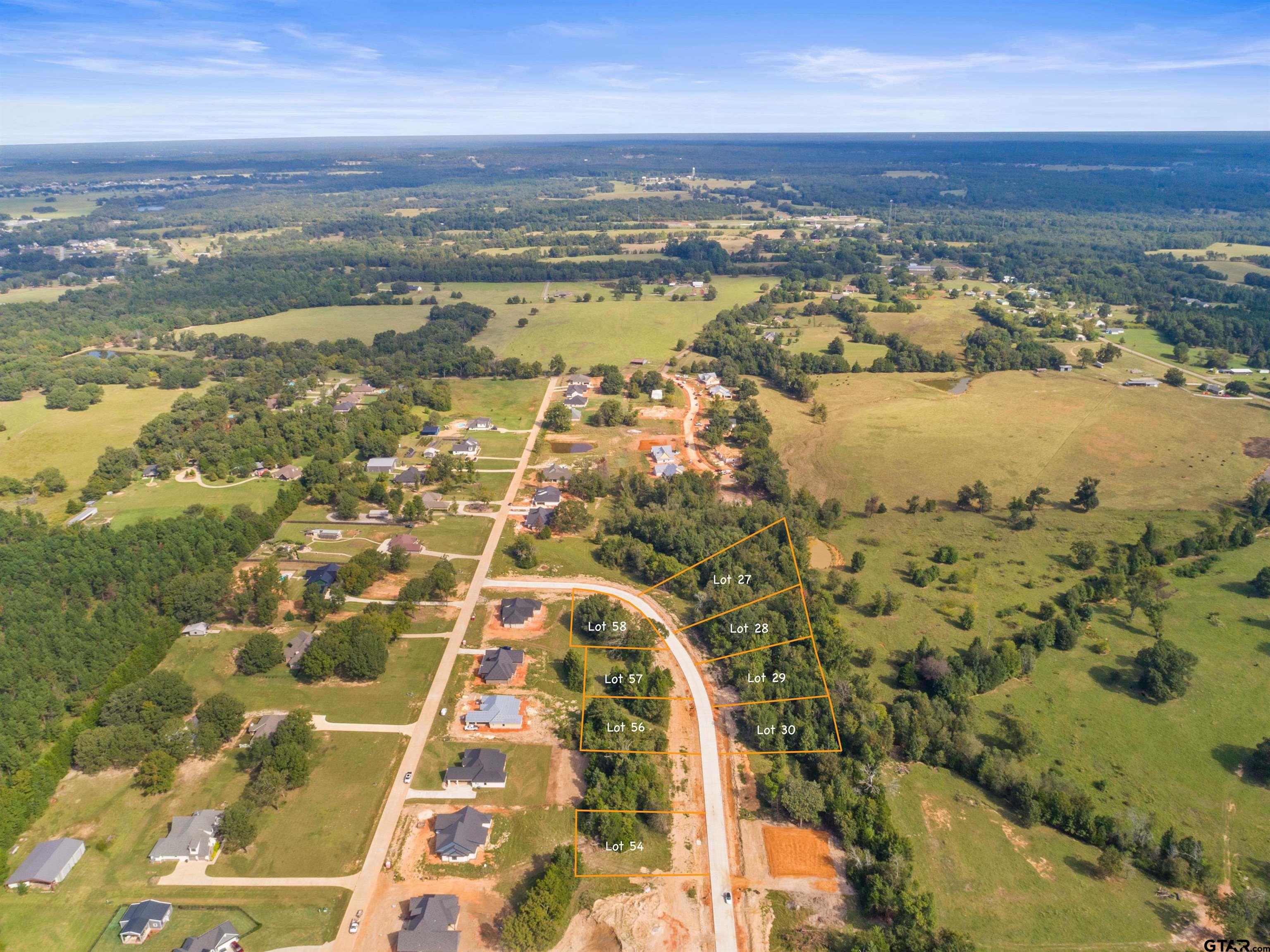 13933 Cedar Hl Lane Tyler, TX 75704 - Photo 2 of 4