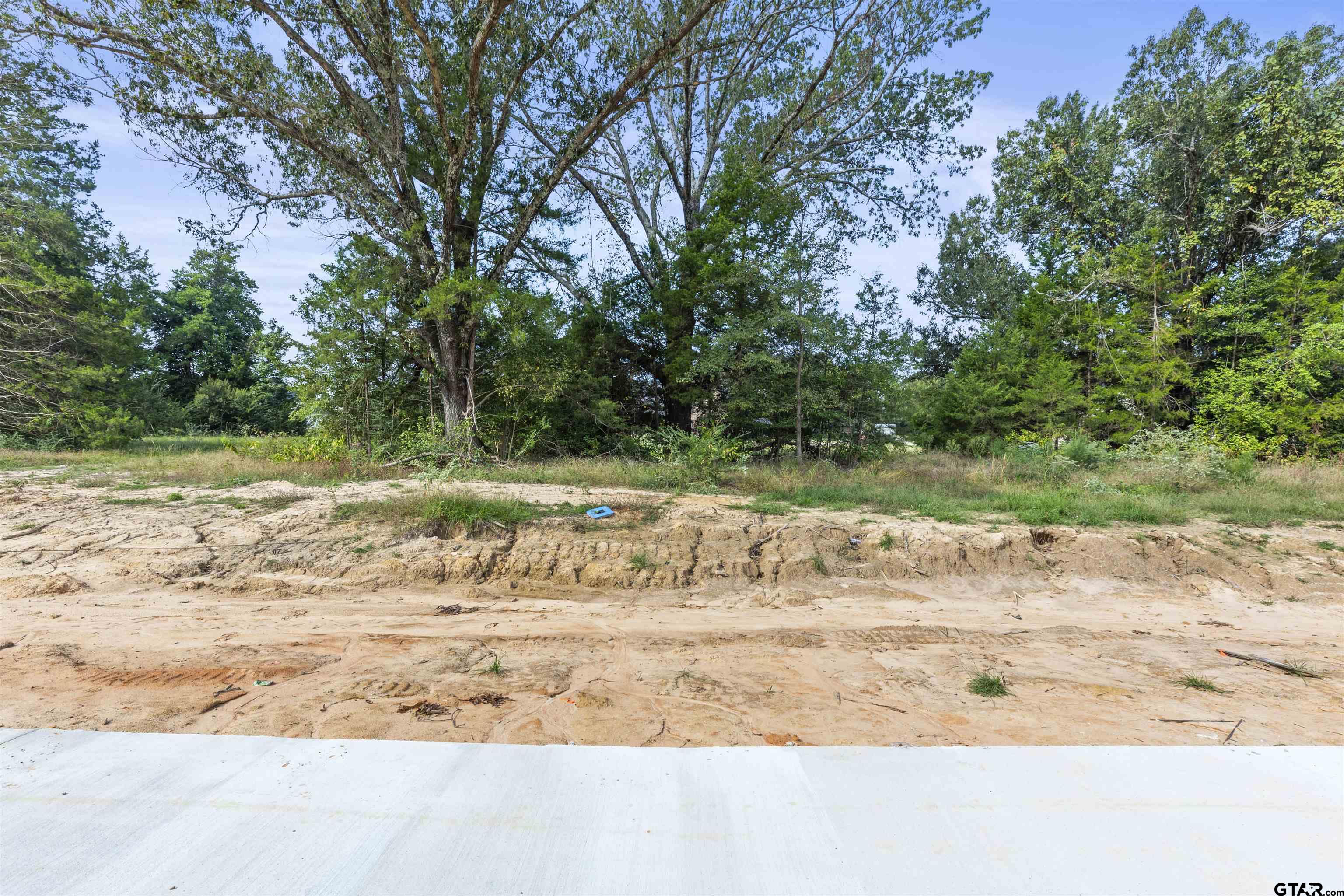 13933 Cedar Hl Lane Tyler, TX 75704 - Photo 3 of 4