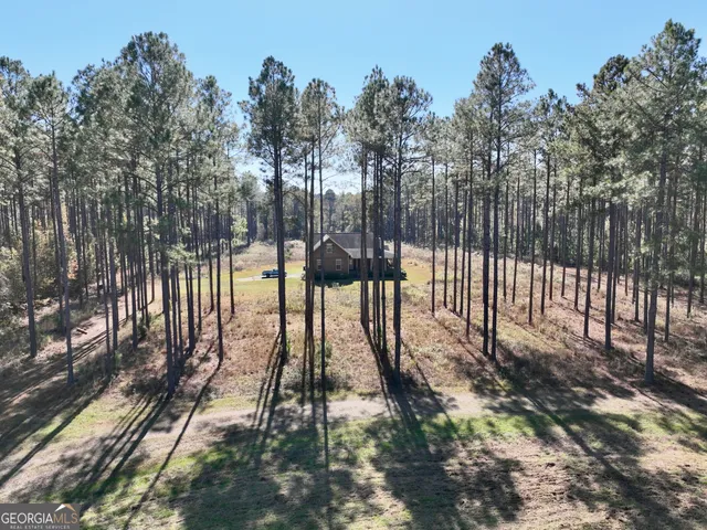 a view of ocean from a yard