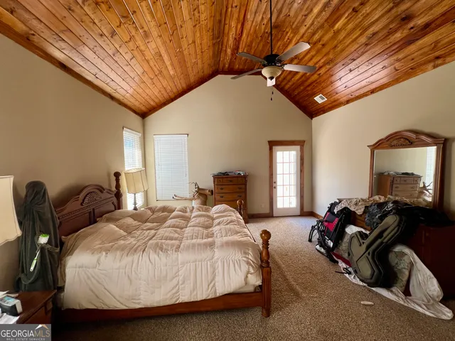 a view of a big yard with plants and large trees