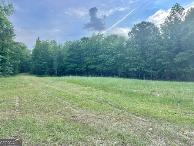 $599,999 | 47 Southgate Lane, Eastman, GA 31023