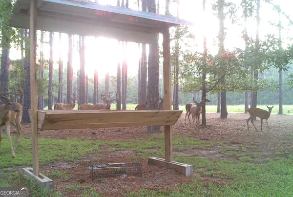 $599,999 | 47 Southgate Lane, Eastman, GA 31023