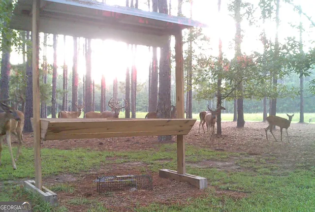 $599,999 | 47 Southgate Lane, Eastman, GA 31023