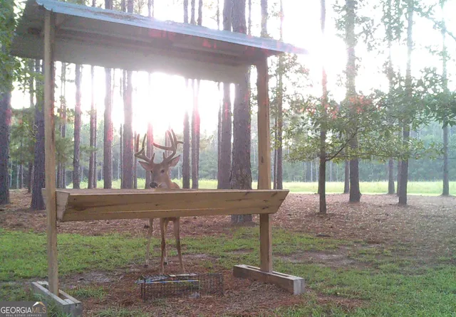 $599,999 | 47 Southgate Lane, Eastman, GA 31023