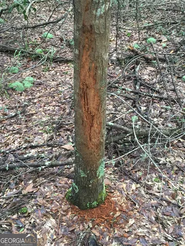 $599,999 | 47 Southgate Lane, Eastman, GA 31023