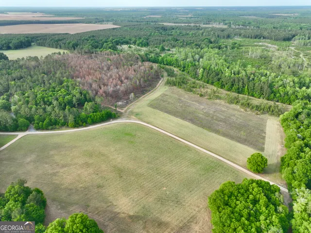 $599,999 | 47 Southgate Lane, Eastman, GA 31023