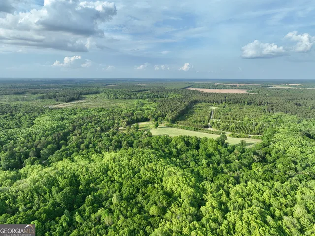 $599,999 | 47 Southgate Lane, Eastman, GA 31023