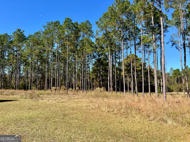 a view of a bunch of trees