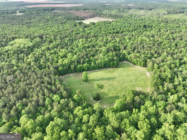 $599,999 | 47 Southgate Lane, Eastman, GA 31023