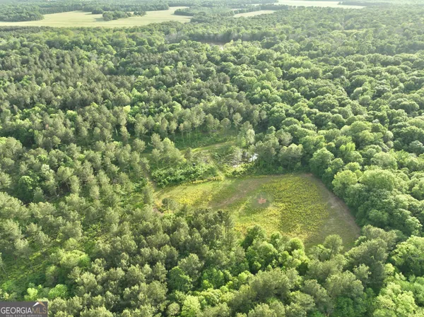 $599,999 | 47 Southgate Lane, Eastman, GA 31023
