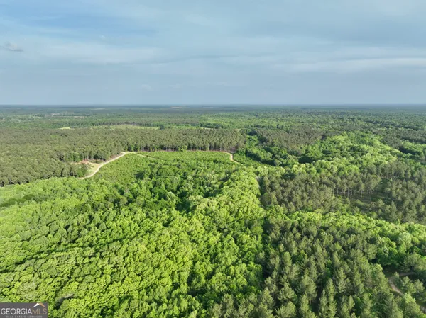 $599,999 | 47 Southgate Lane, Eastman, GA 31023