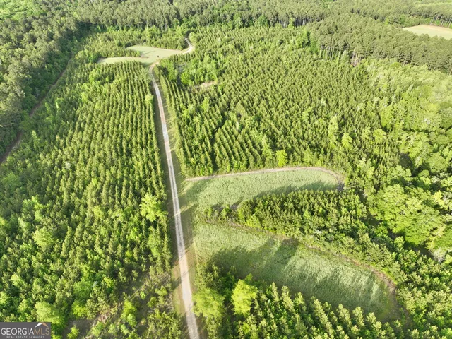 $599,999 | 47 Southgate Lane, Eastman, GA 31023