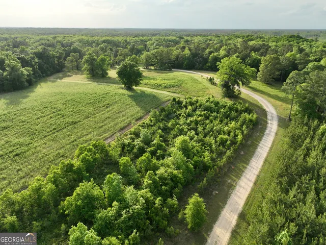 $599,999 | 47 Southgate Lane, Eastman, GA 31023