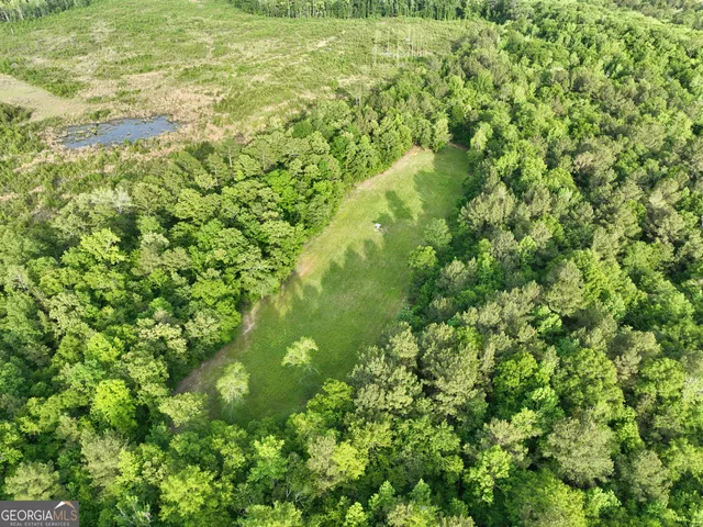 $599,999 | 47 Southgate Lane, Eastman, GA 31023