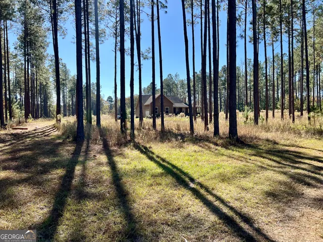 a view of a backyard of a house