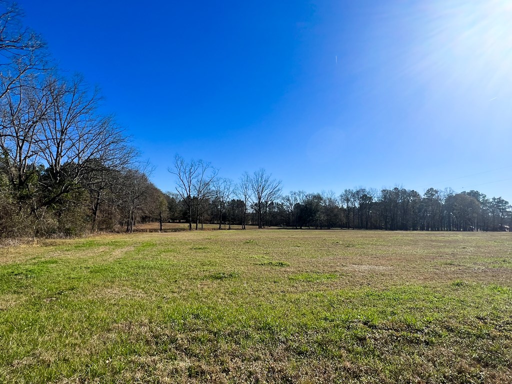5455 Co Road Slocomb, AL 36375 - Photo 8 of 8
