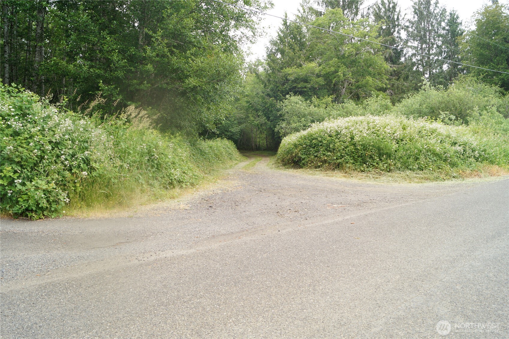 -off Of Panhandle Road Hoquiam, WA 98550 - Photo 13 of 13 Gallery Image 13