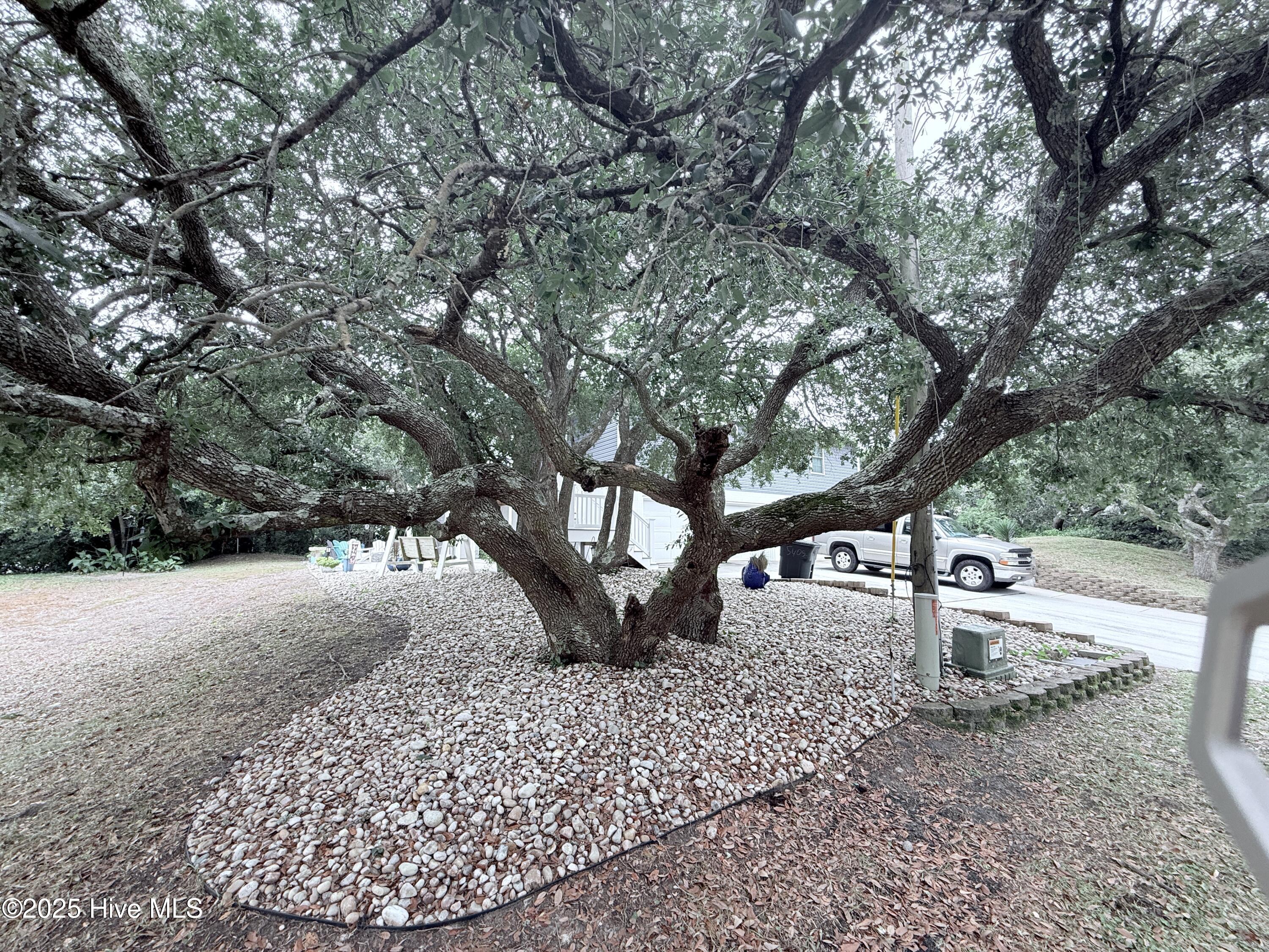 5405 Cedar Tree Lane Emerald Isle, NC 28594 - Photo 2 of 67 5405 Cedar Tree Ln