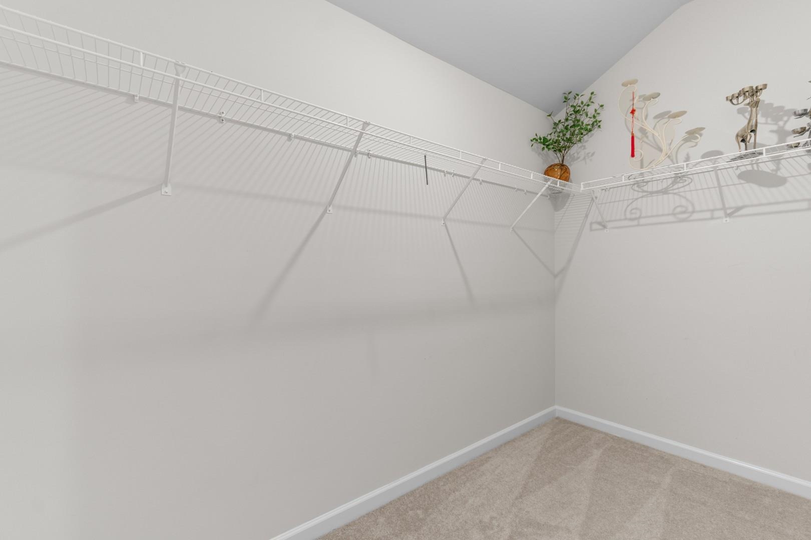 159 Albatross Way Myrtle Beach, SC 29579 - Photo 29 of 38
