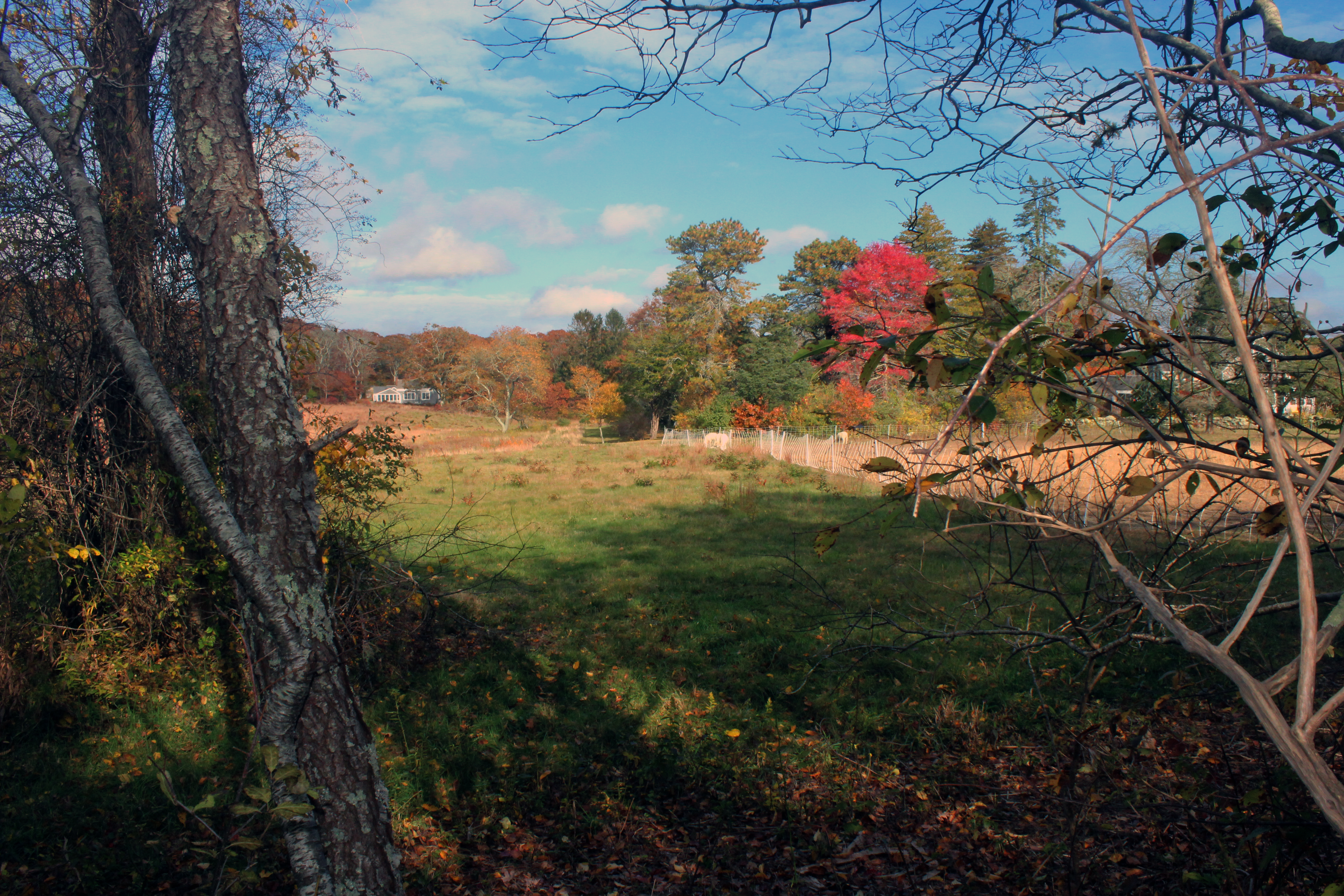 5 Tysbury Manor Road Chilmark, MA 02535 - Photo 1 of 20 Gallery Image 1