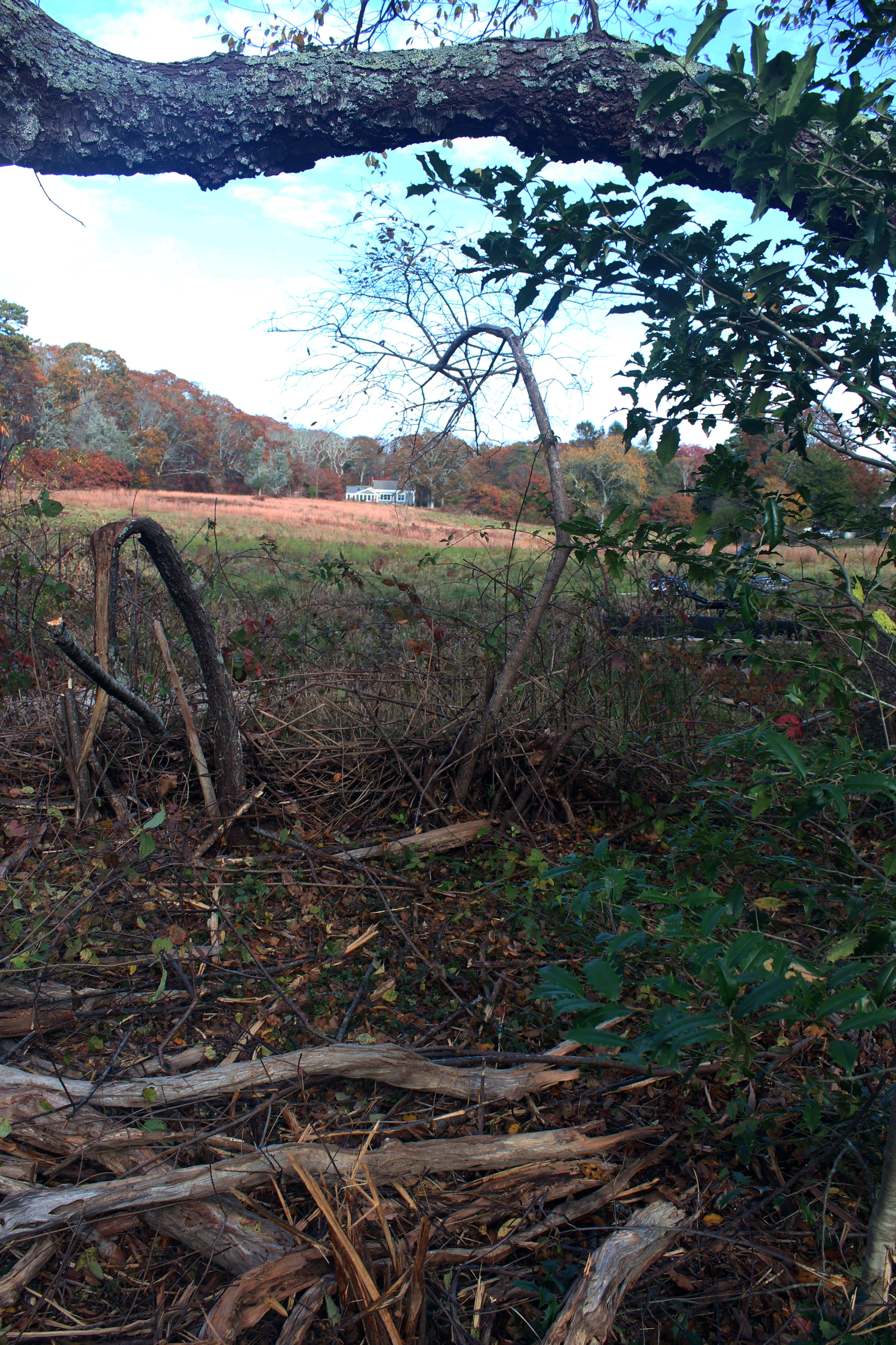 5 Tysbury Manor Road Chilmark, MA 02535 - Photo 11 of 20 Gallery Image 11