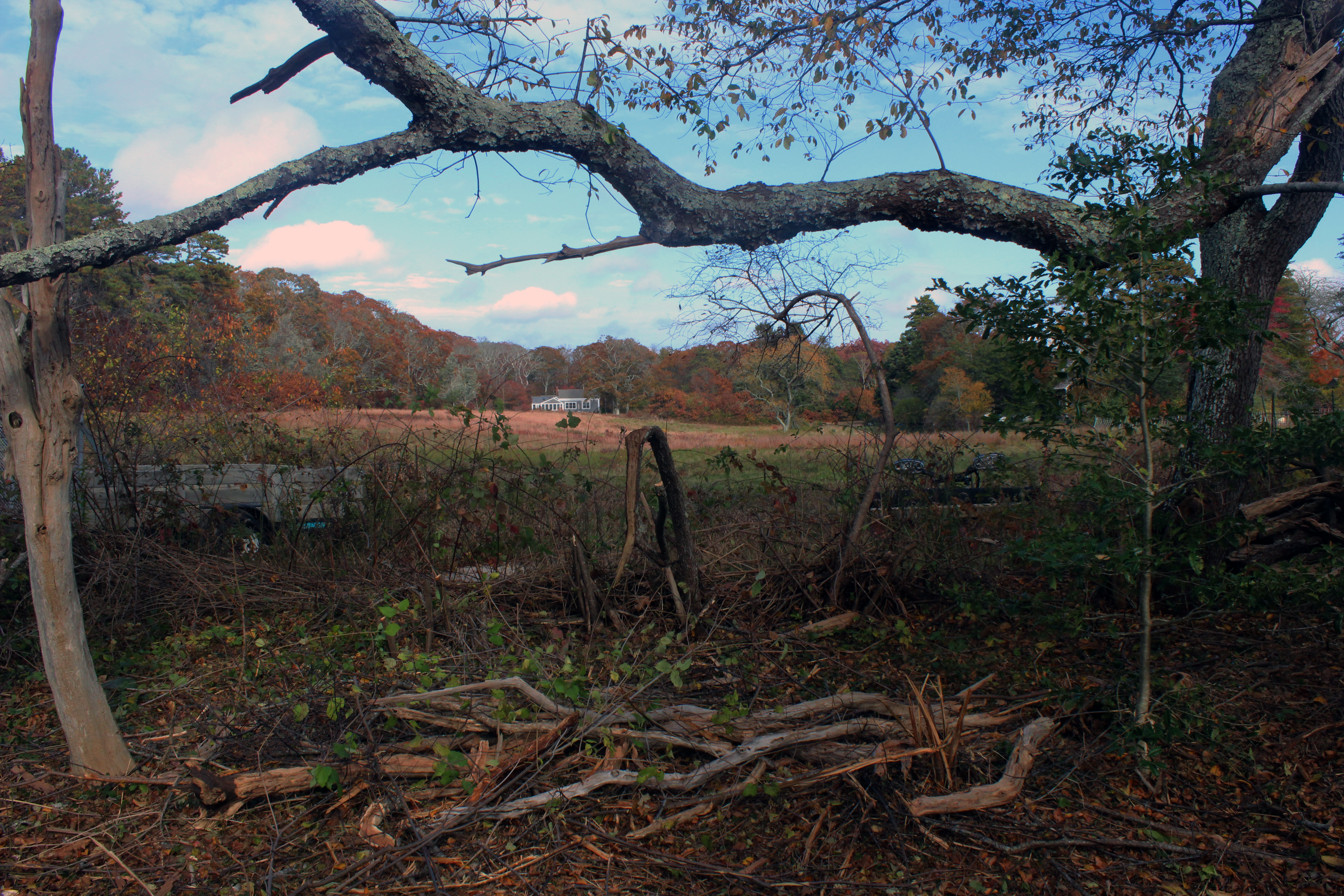 5 Tysbury Manor Road Chilmark, MA 02535 - Photo 12 of 20 Gallery Image 12