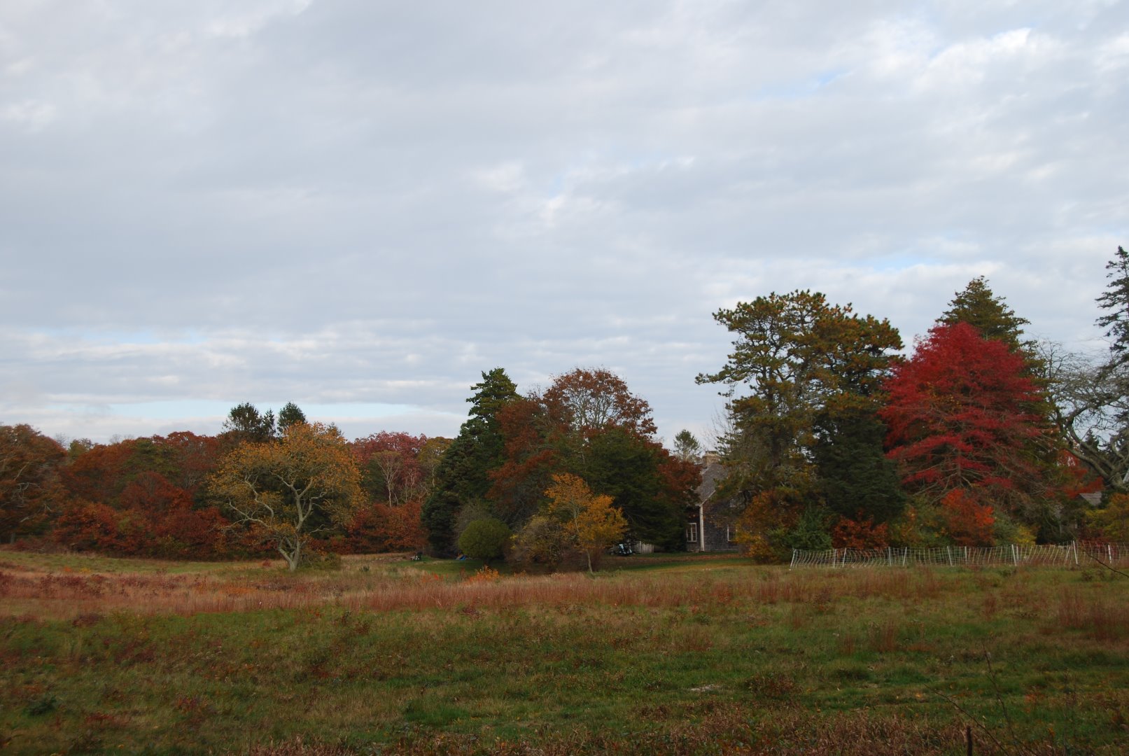 5 Tysbury Manor Road Chilmark, MA 02535 - Photo 13 of 20 Gallery Image 13