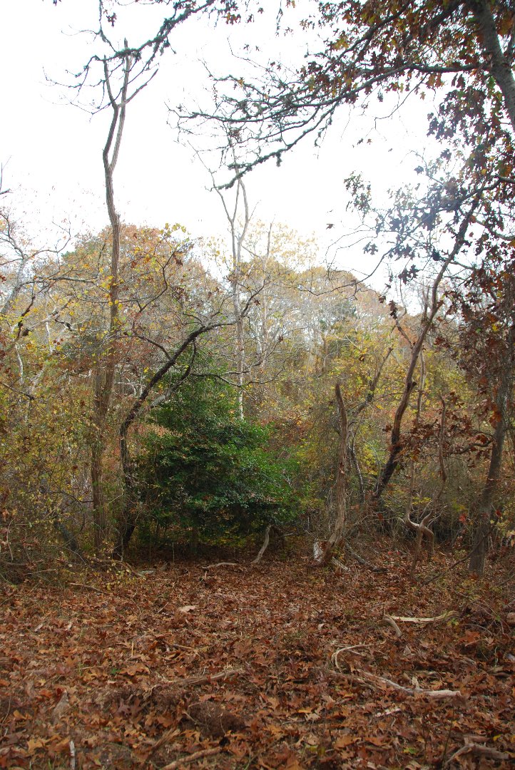 5 Tysbury Manor Road Chilmark, MA 02535 - Photo 16 of 20 Gallery Image 16