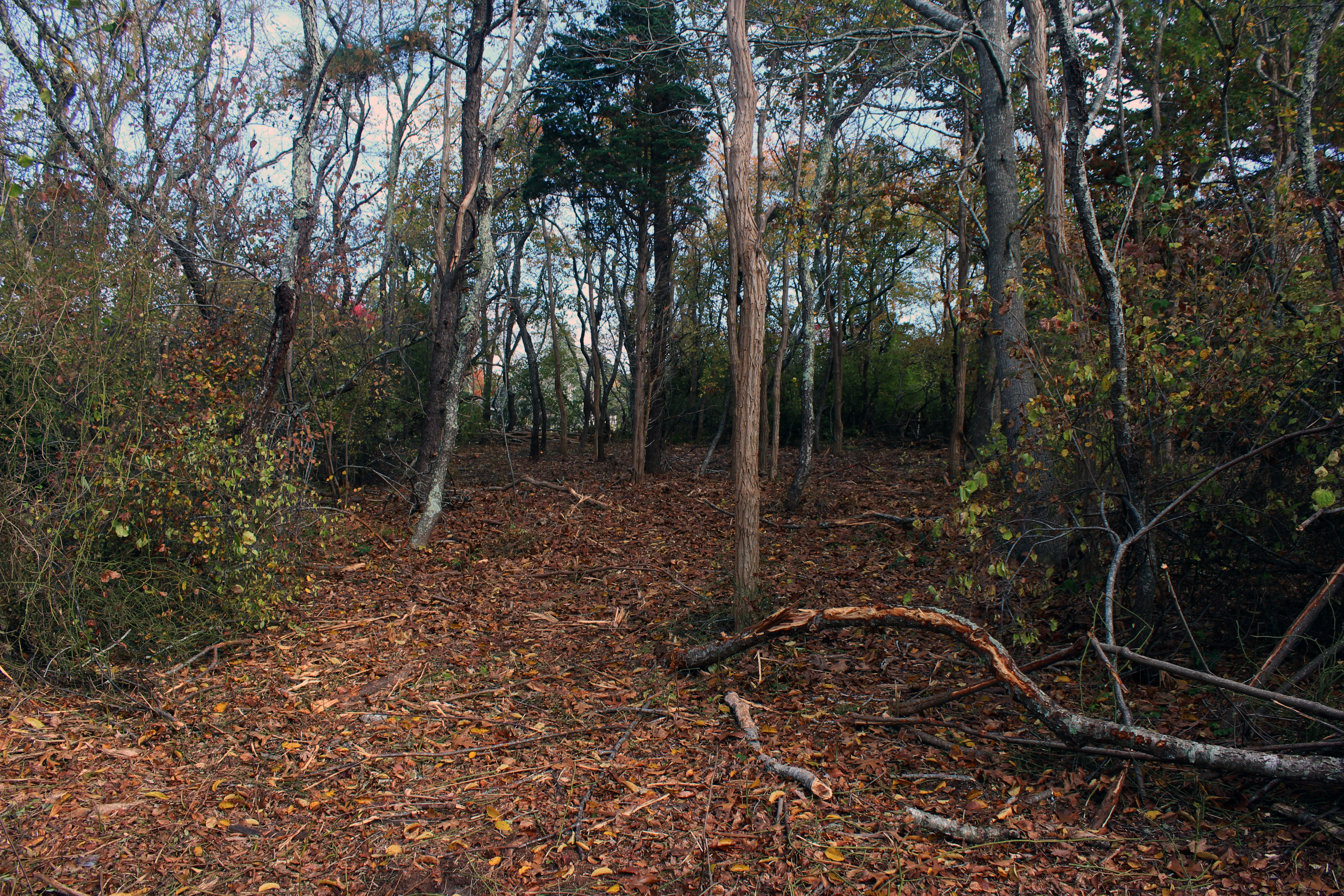 5 Tysbury Manor Road Chilmark, MA 02535 - Photo 17 of 20 Gallery Image 17