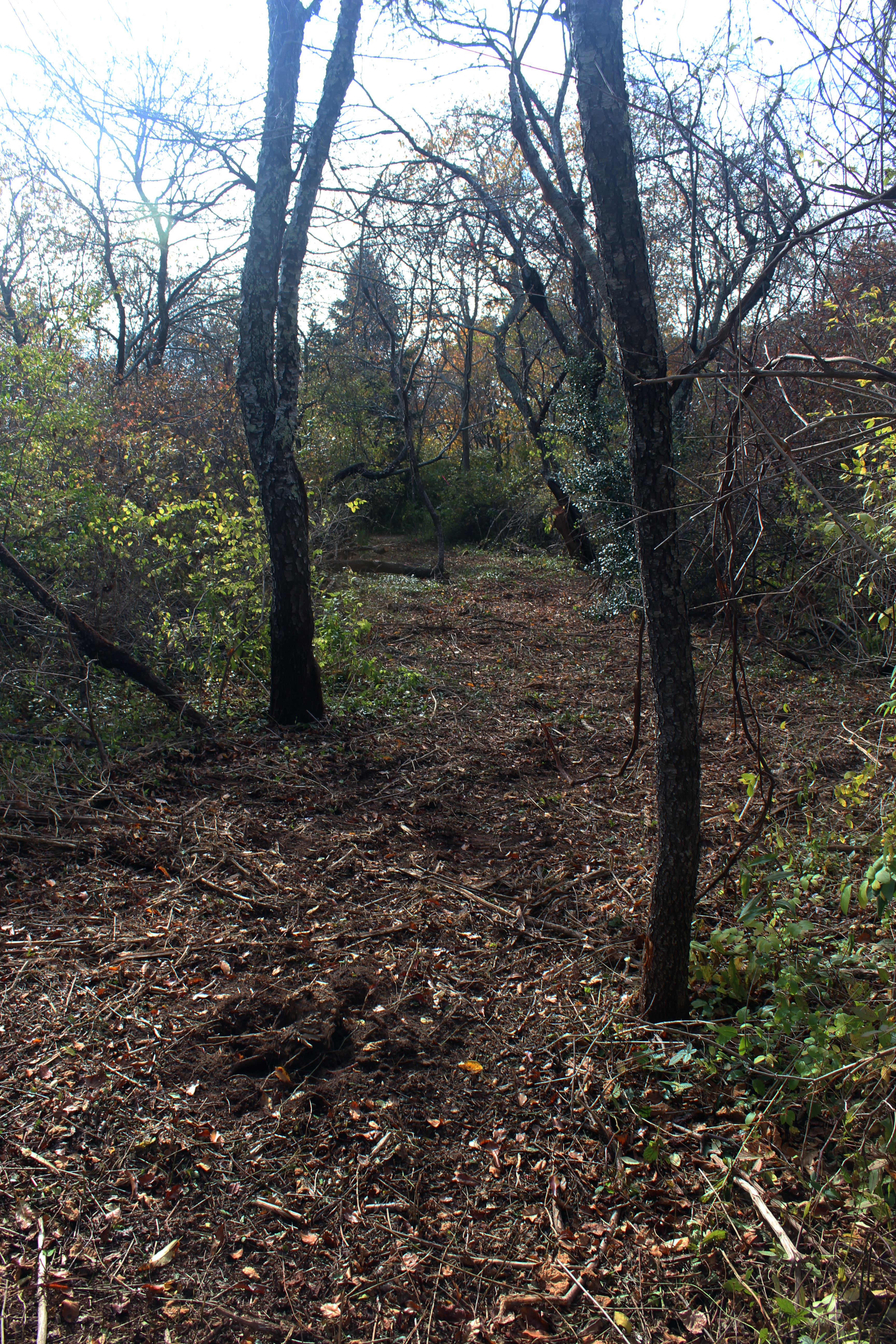 5 Tysbury Manor Road Chilmark, MA 02535 - Photo 18 of 20 Gallery Image 18