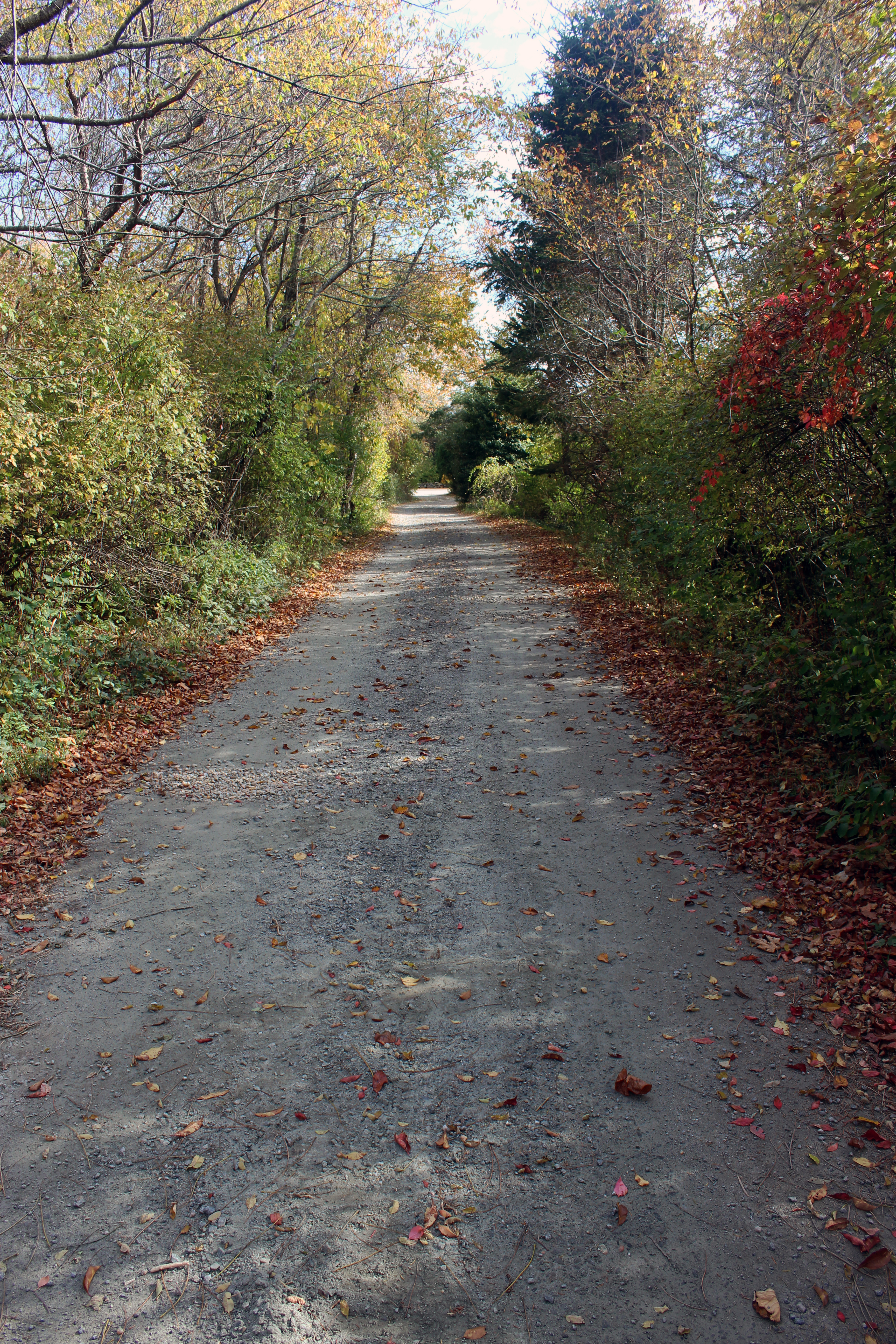 5 Tysbury Manor Road Chilmark, MA 02535 - Photo 20 of 20 Gallery Image 20