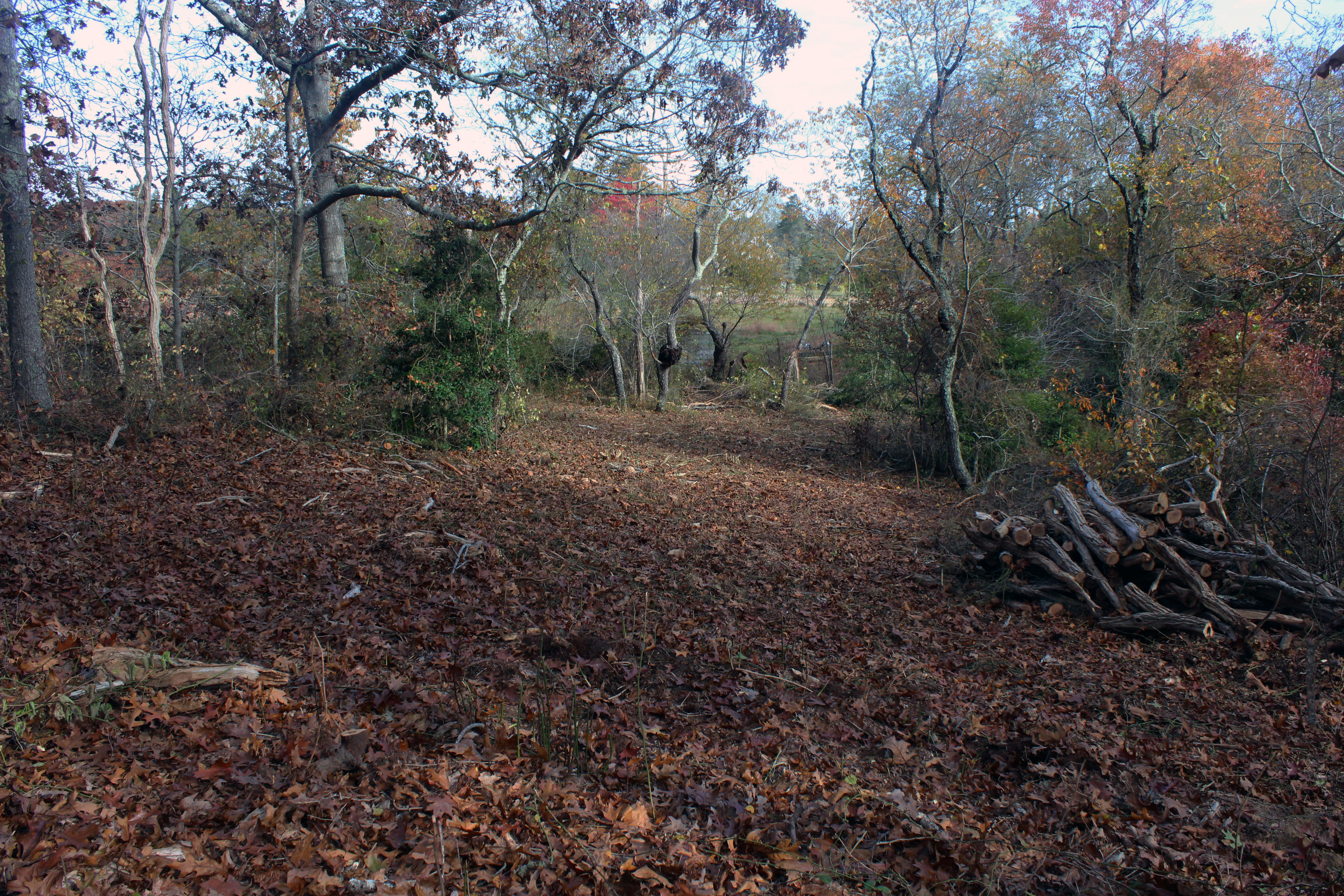 5 Tysbury Manor Road Chilmark, MA 02535 - Photo 3 of 20 Gallery Image 3