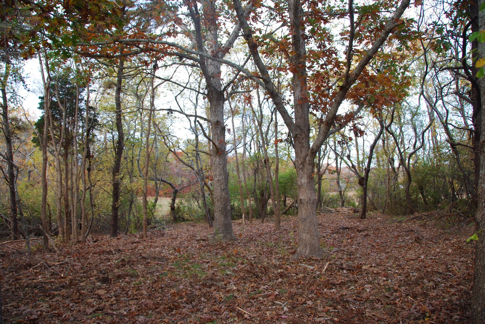 5 Tysbury Manor Road Chilmark, MA 02535 - Photo 4 of 20 Gallery Image 4