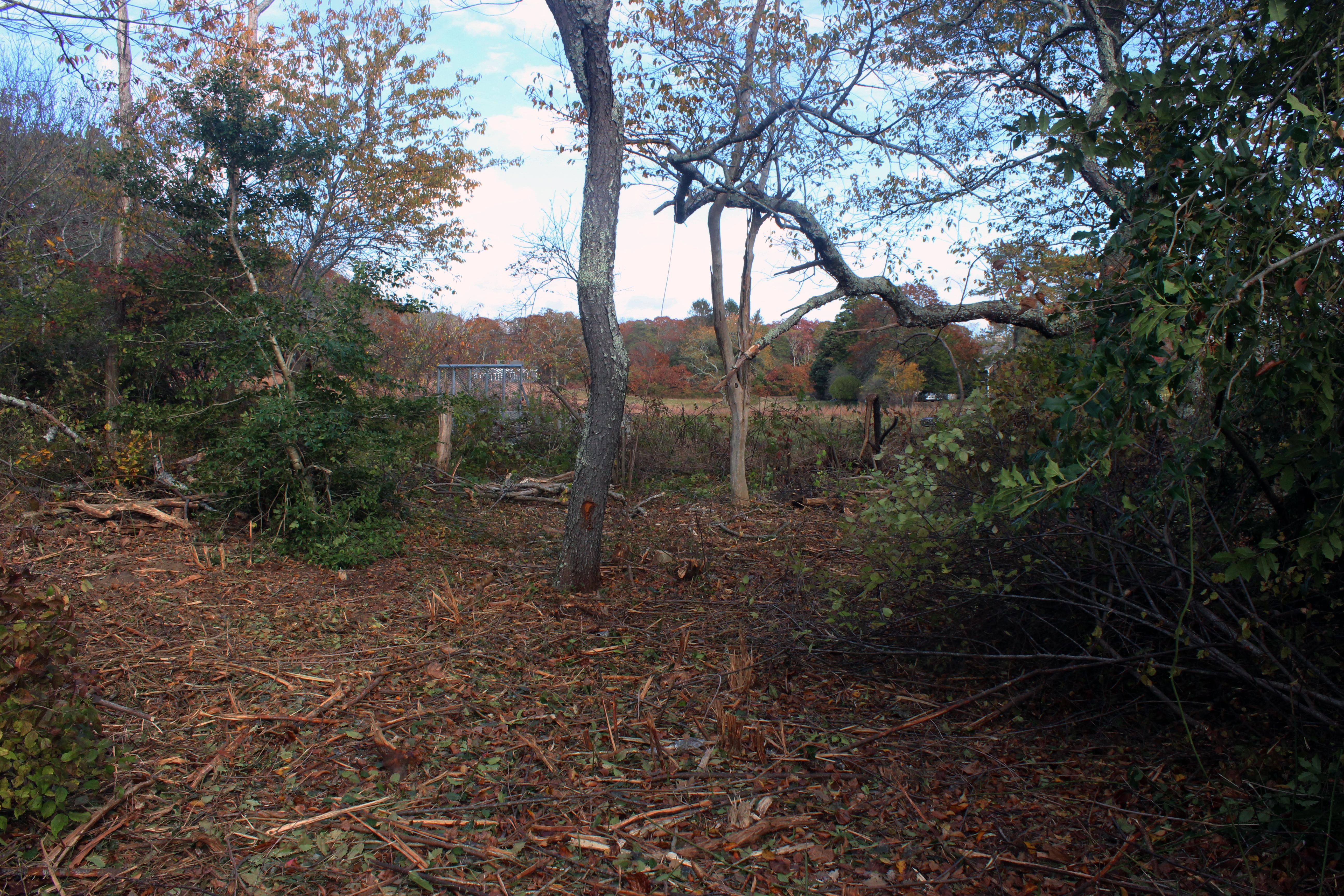 5 Tysbury Manor Road Chilmark, MA 02535 - Photo 5 of 20 Gallery Image 5