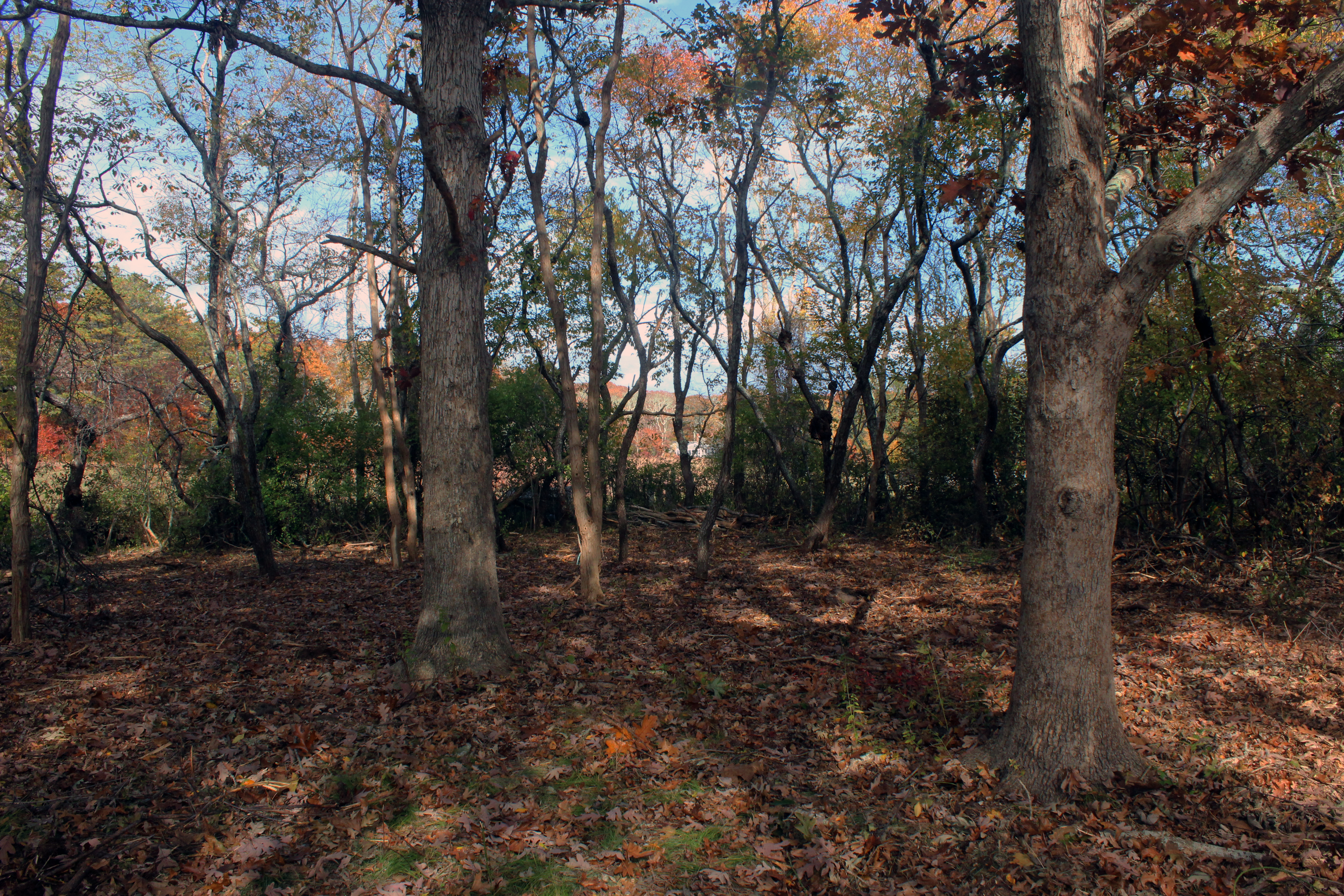 5 Tysbury Manor Road Chilmark, MA 02535 - Photo 6 of 20 Gallery Image 6