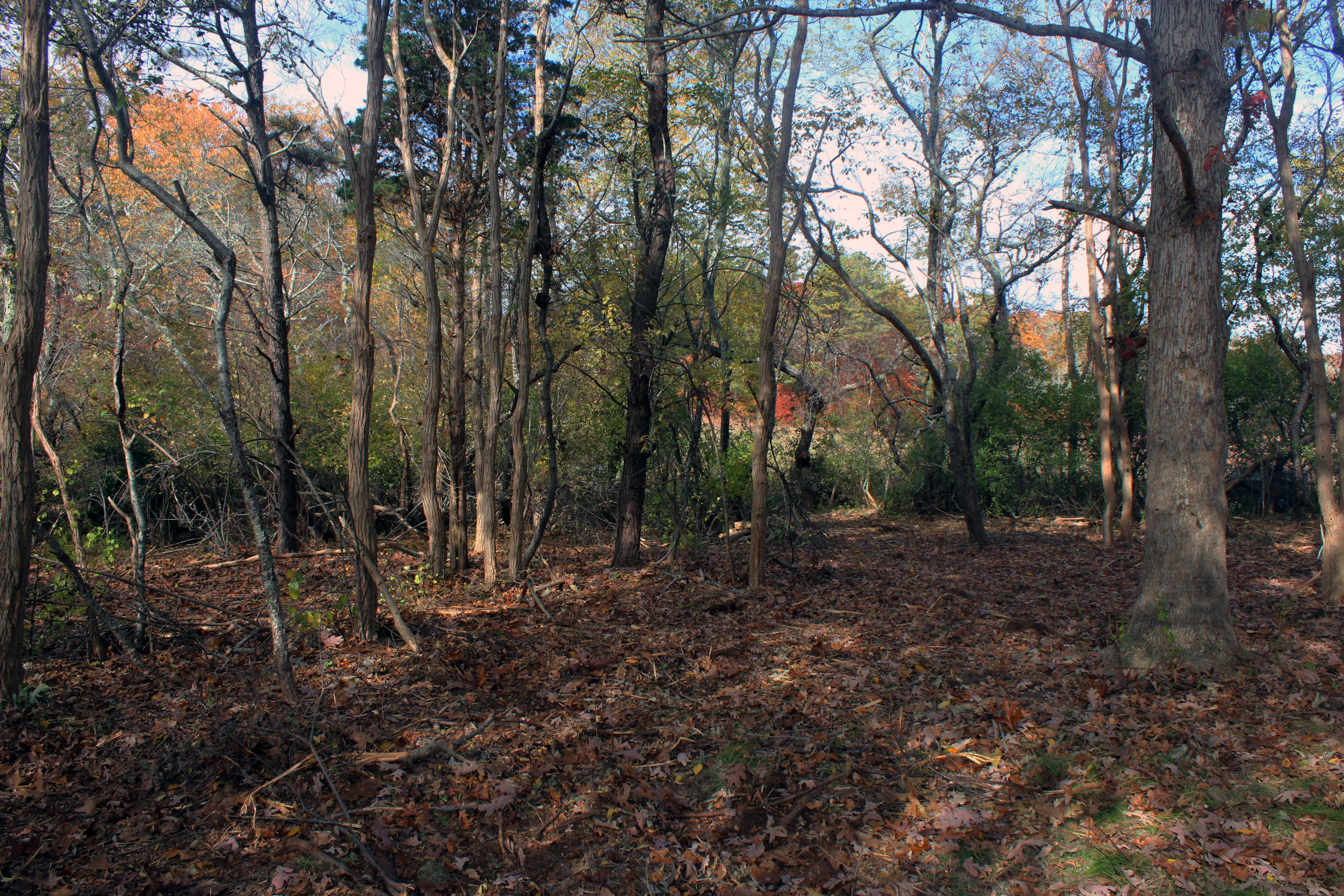 5 Tysbury Manor Road Chilmark, MA 02535 - Photo 7 of 20 Gallery Image 7