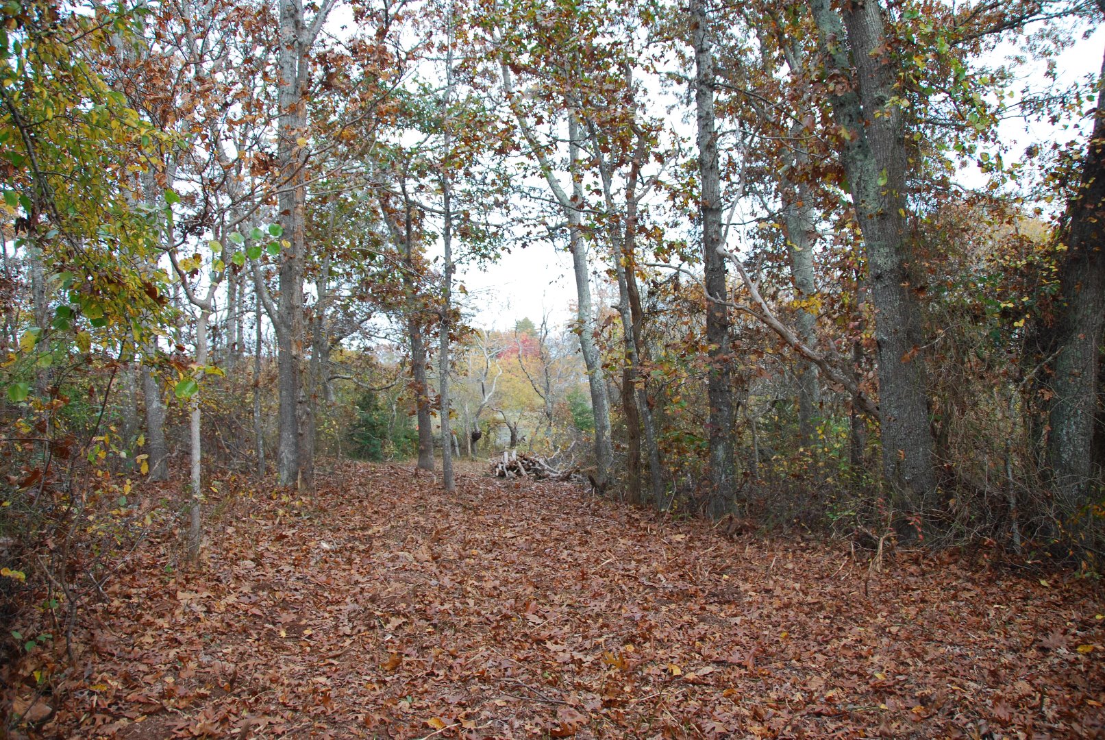 5 Tysbury Manor Road Chilmark, MA 02535 - Photo 8 of 20 Gallery Image 8