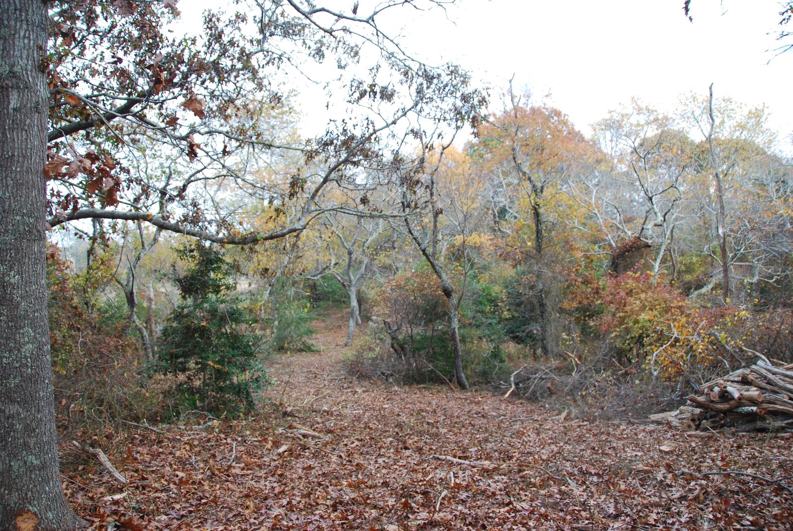5 Tysbury Manor Road Chilmark, MA 02535 - Photo 9 of 20 Gallery Image 9