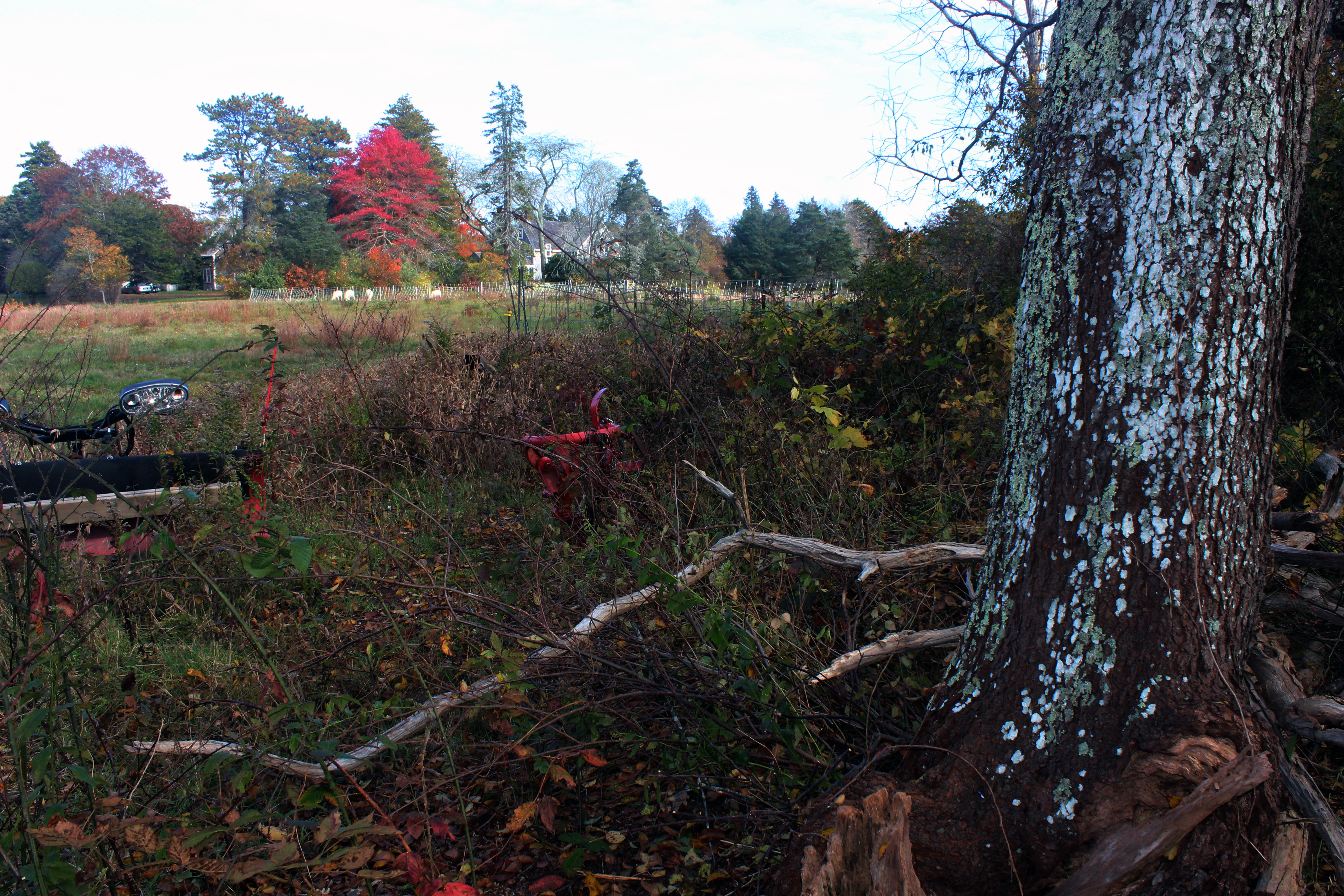 5 Tysbury Manor Road Chilmark, MA 02535 - Photo 10 of 20 Gallery Image 10