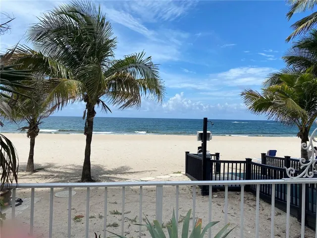 a view of a park with a palm tree