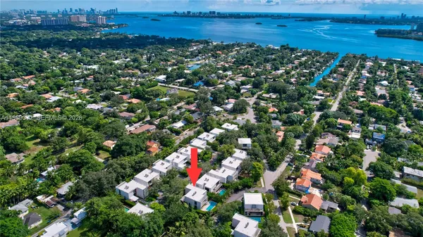 a view of a bunch of trees and bushes