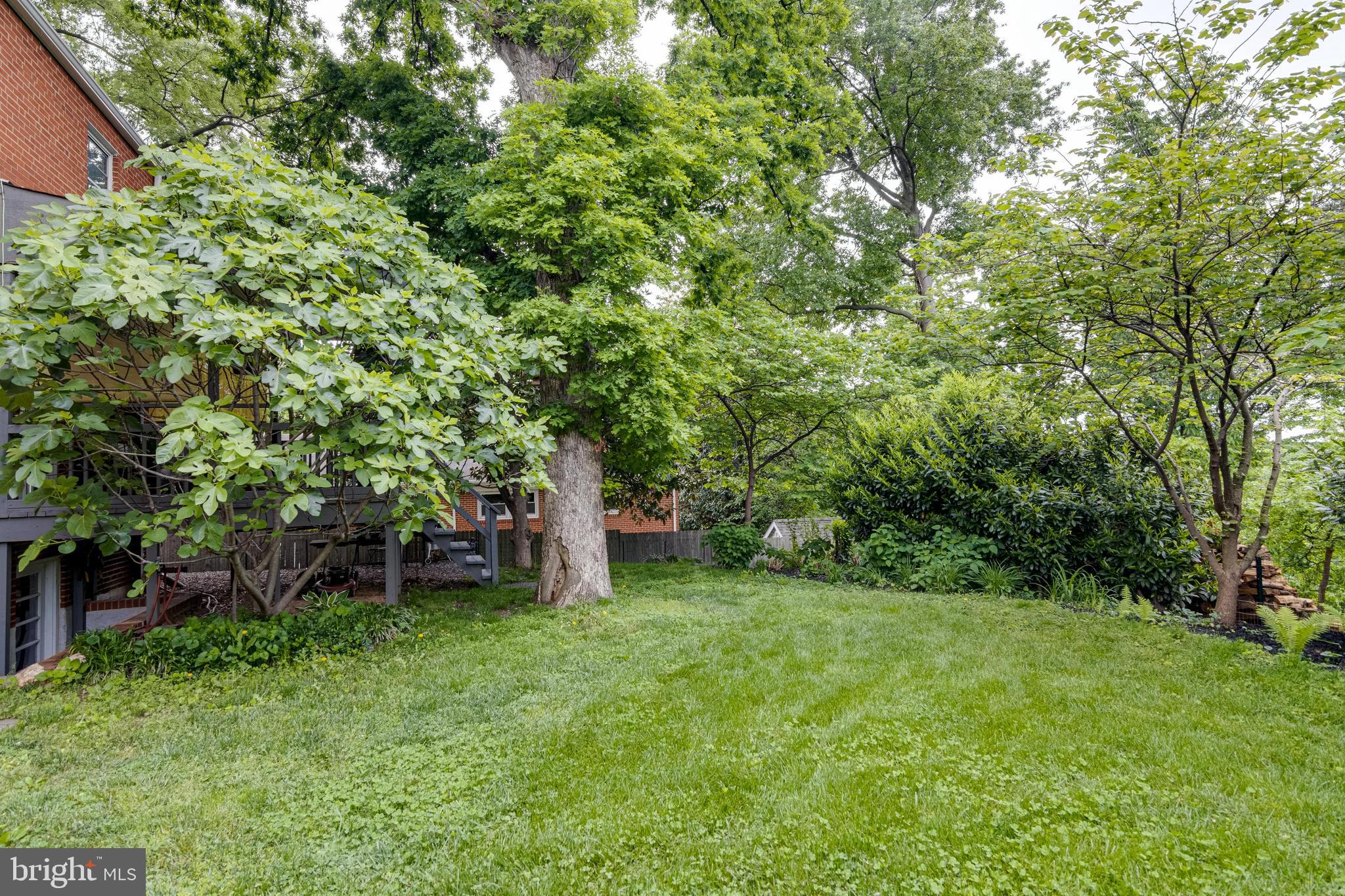 5607 Lockwood Road Cheverly, MD 20785 - Photo 42 of 49 Gallery Image 42